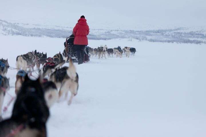 Hondenslede rijden Noorwegen
