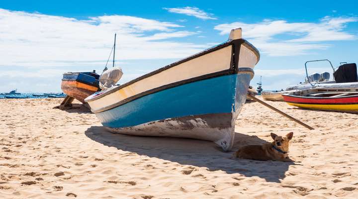 Strand van Santa Maria op Sal