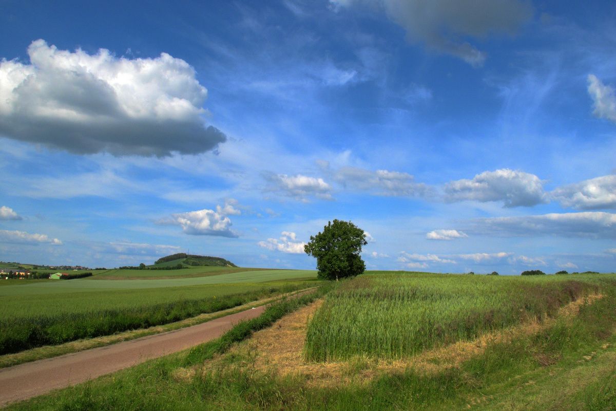 Landschap Bourgogne Frankrijk