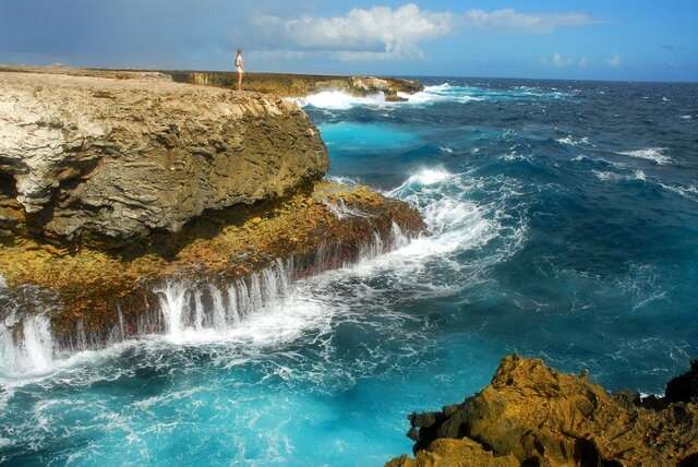 De nationale parken van Bonaire