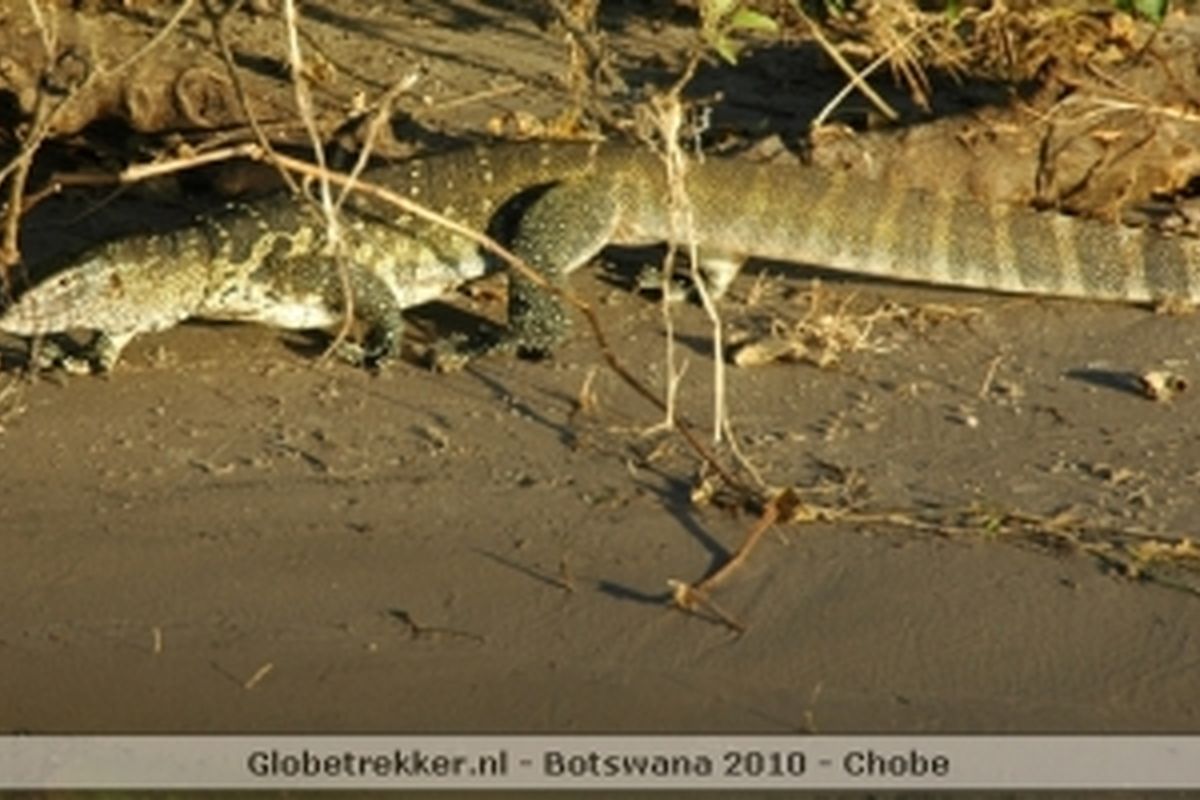 Foto van deze vakantie