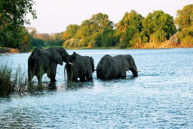 Nationale parken in Zambia