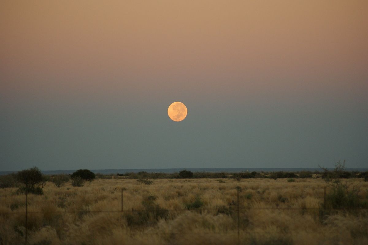 Kalahari bij zonsondergang