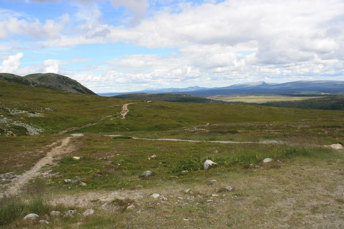 Wandelpaden in het bergachtige natuurreservaat St&auml;djan-Nipfj&auml;llets