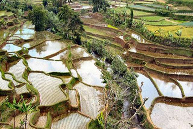 De Indonesische Eilanden