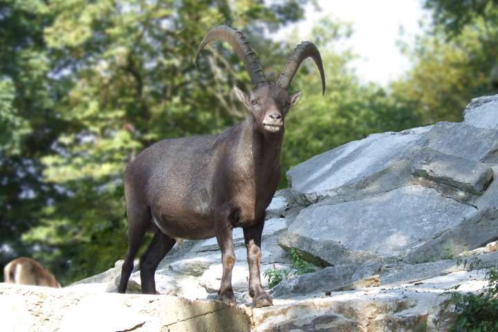 Nationaal Park Mercantour