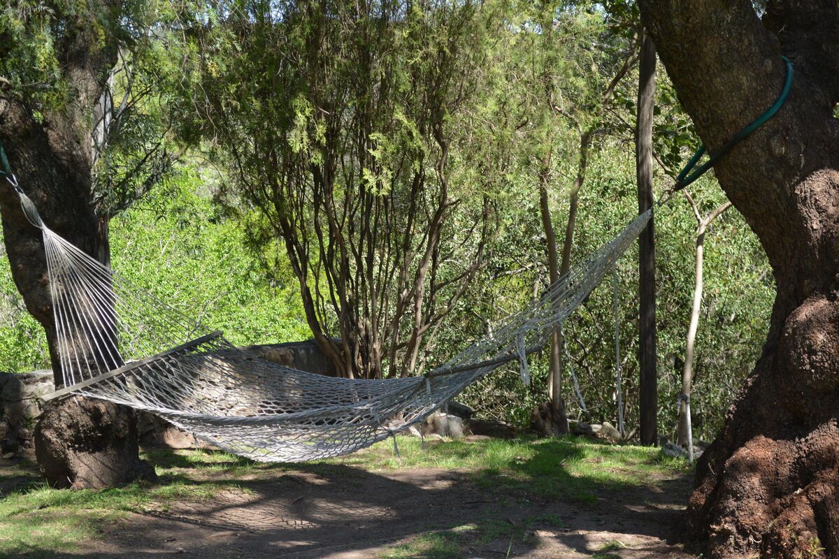 Hangmat in natuur Paraguay