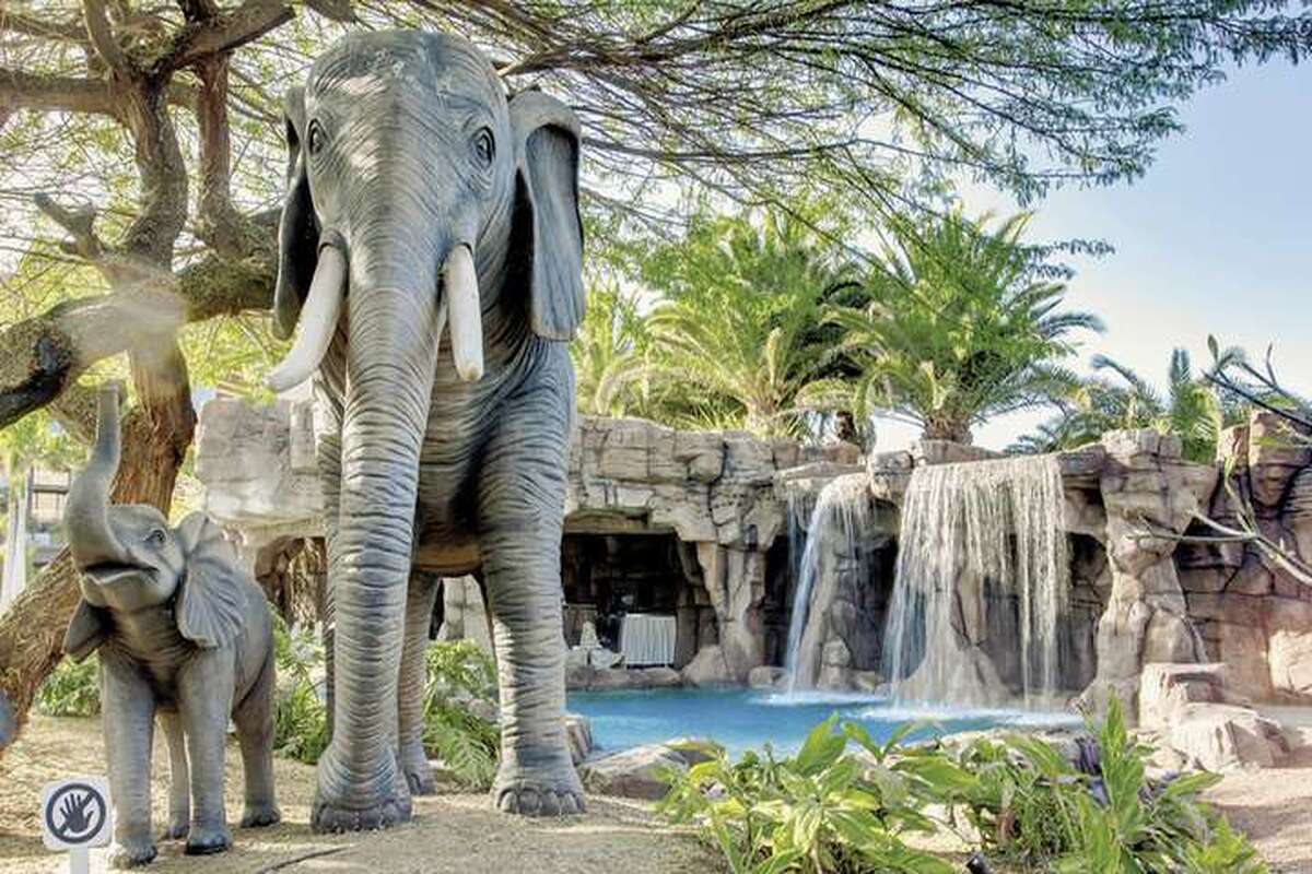 Olifanten in het Lopesan Baobab Resort