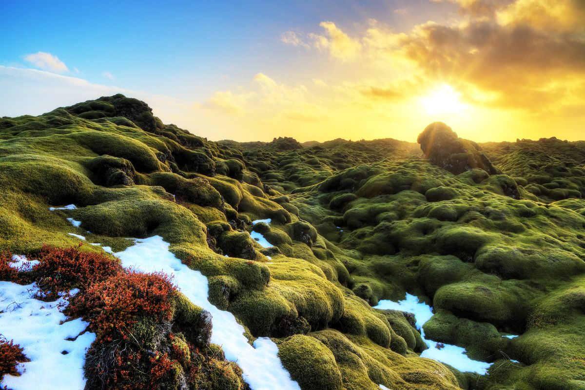 Vulkanisch bemoste landschap van Eldhraun met smeltende sneeuw