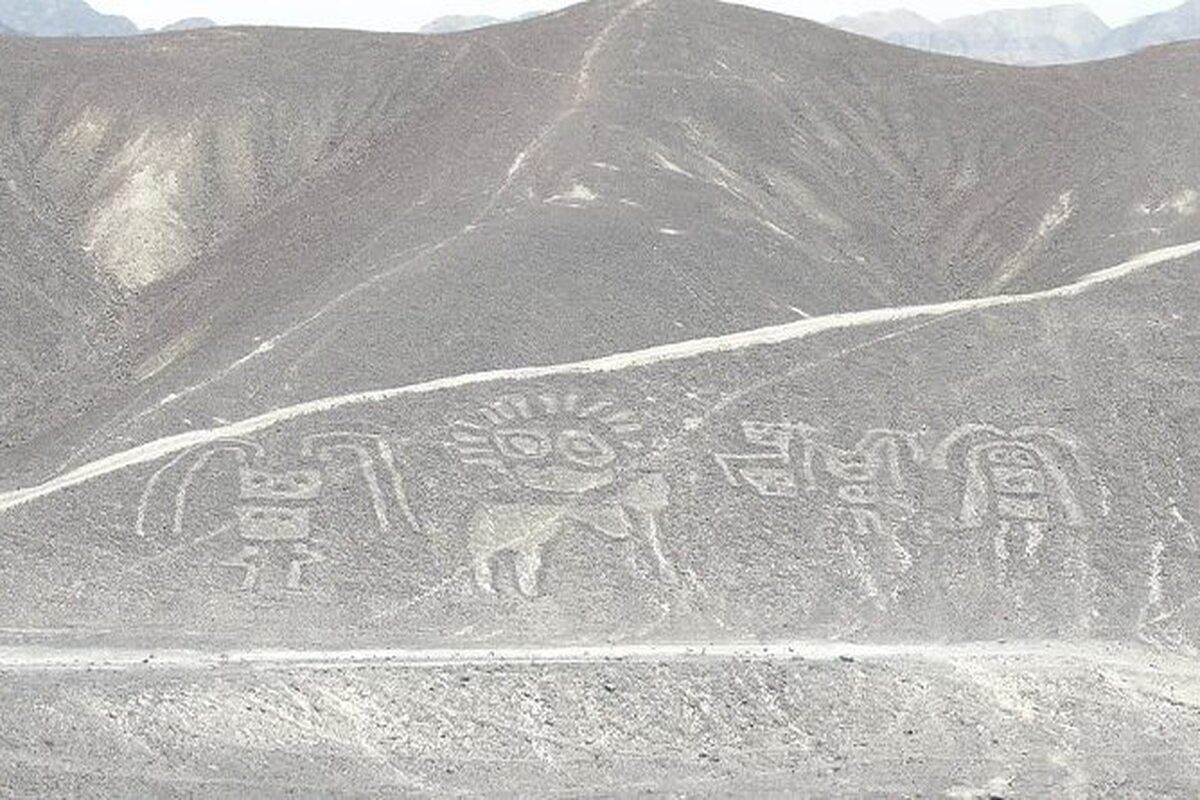 Tekeningen van de Pampa's 