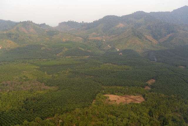 Klimaat van Myanmar, temperatuur en neerslag
