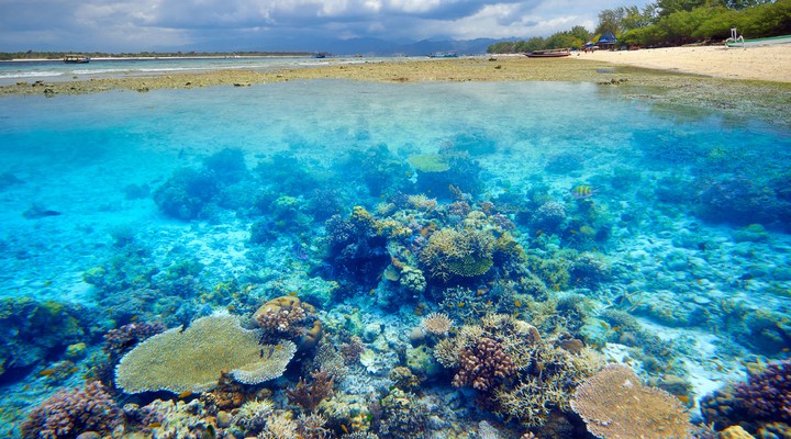 Koraalrif Gili Trawangan