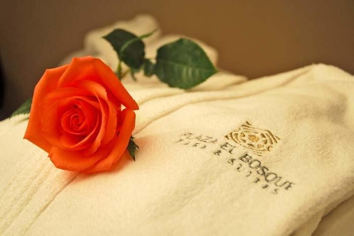 Plaza El Bosque Ebro luxe hotel