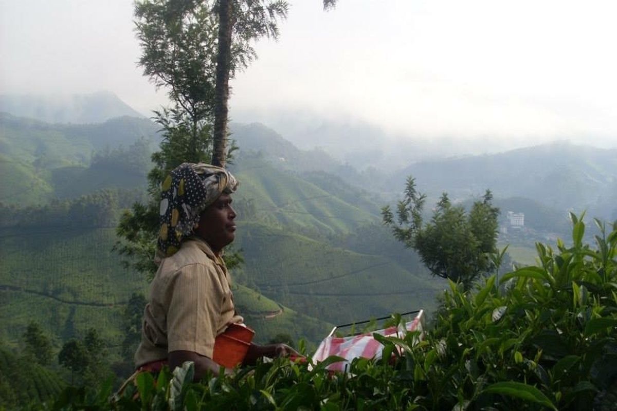 Foto van deze vakantie