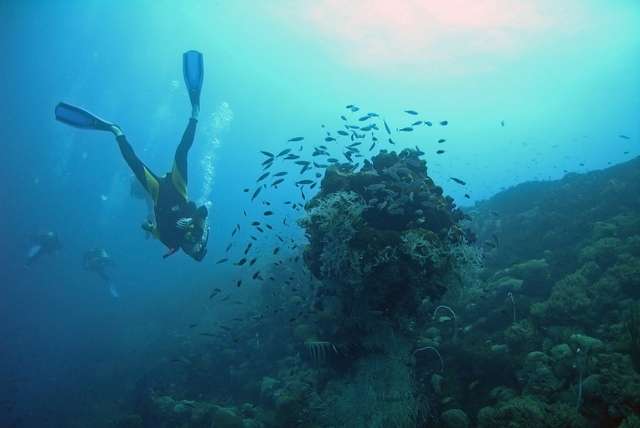 Duiken in Guadeloupe