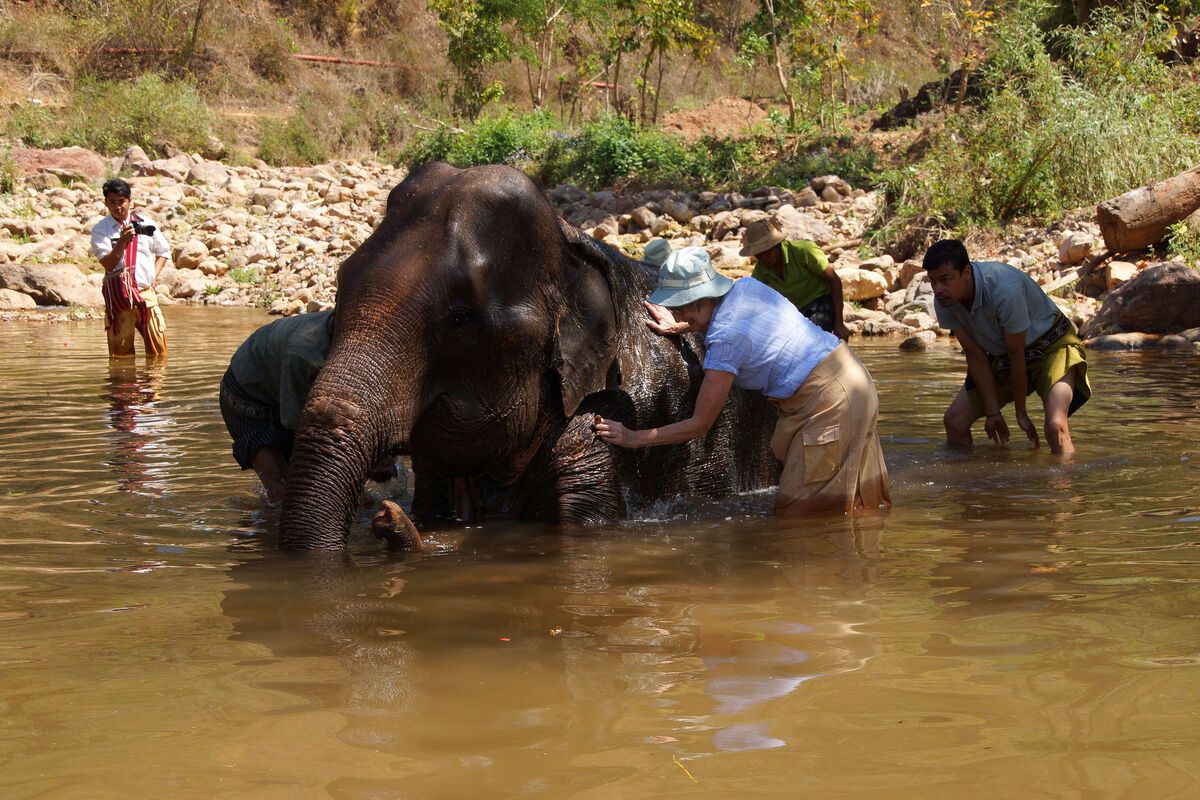 Olifantenpark in Kalaw