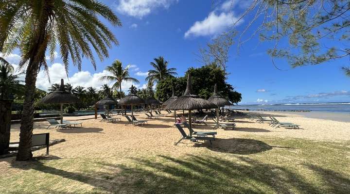 Prachtige strand van Mauritius met palmbomen