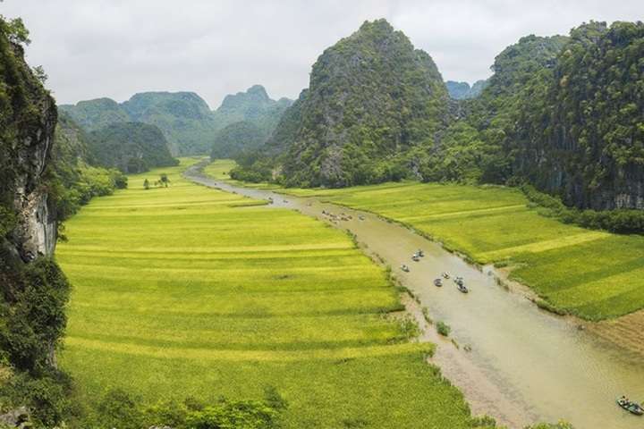 Rijstvelden van Tam Coc in Ninh Binh