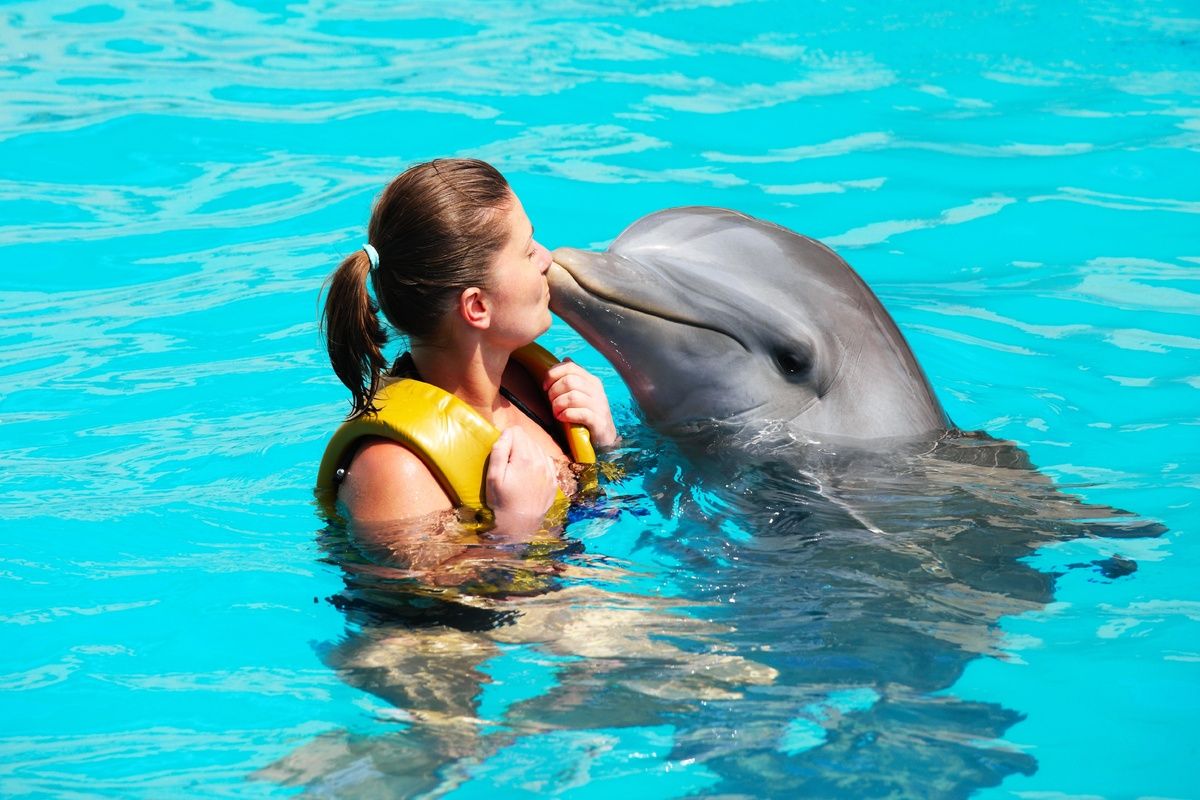 Met dolfijnen zwemmen