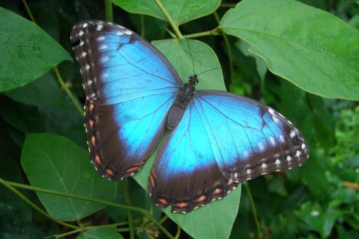 National Park Blue Mountains
