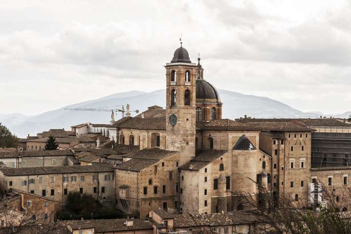 Urbino