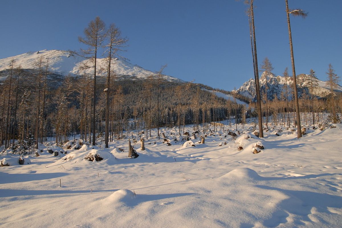 Winters landschap Slowakije