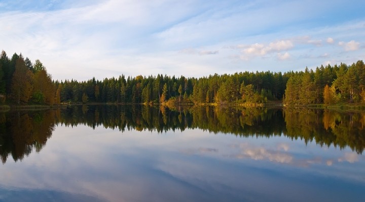 Meertje omringd door bossen in Finland