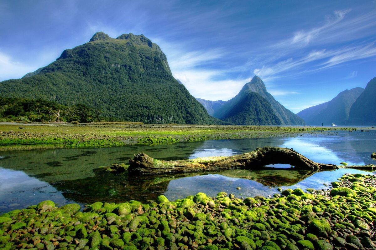 De fjord Milford Sound gelegen aan een open zee