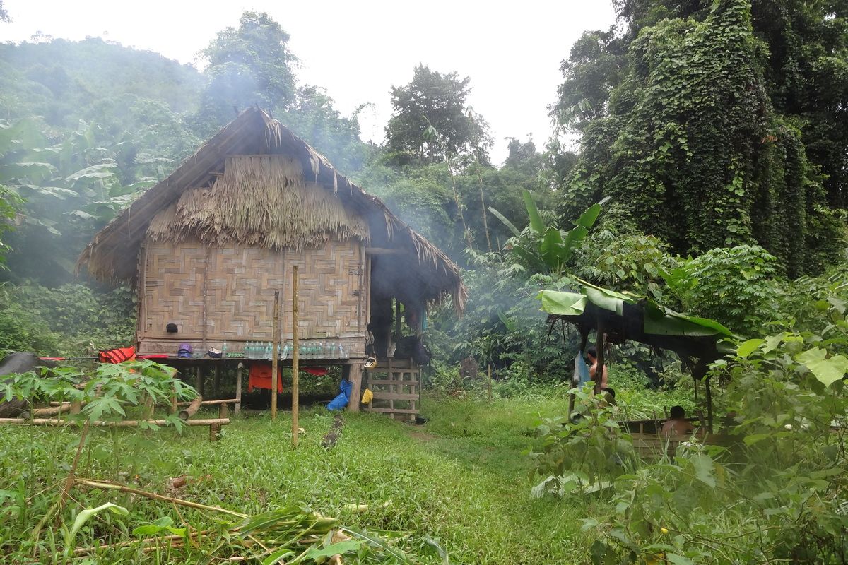 Ecohut in de jungle