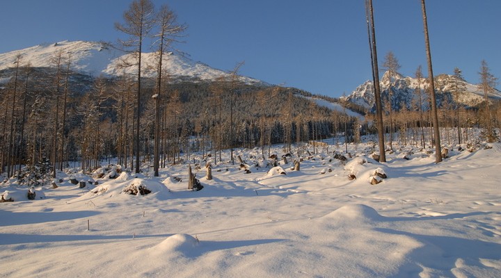 Winters landschap Slowakije