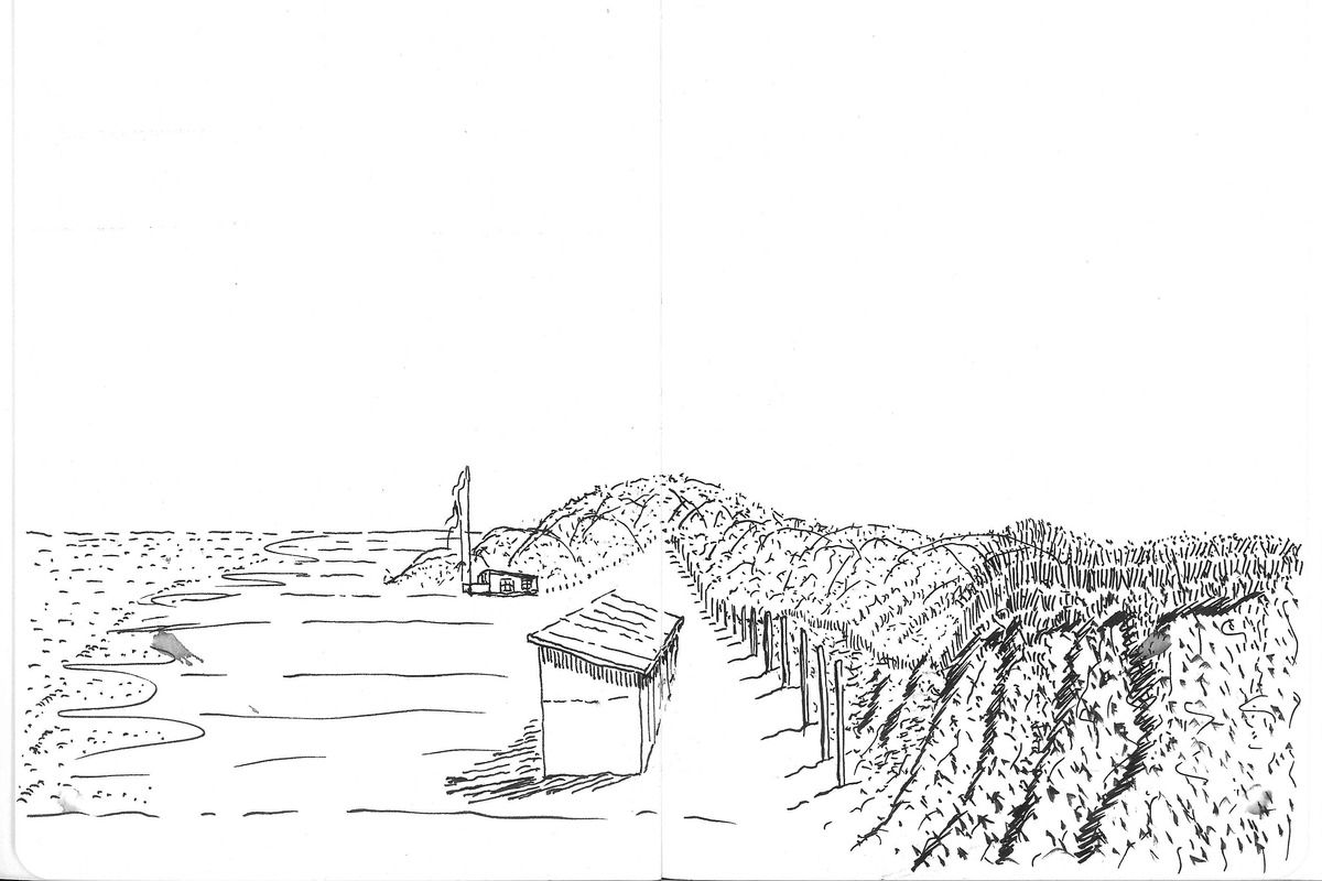 Strand Texel de Koog, tekening