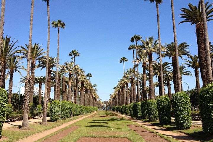 Park van de Arabische Liga