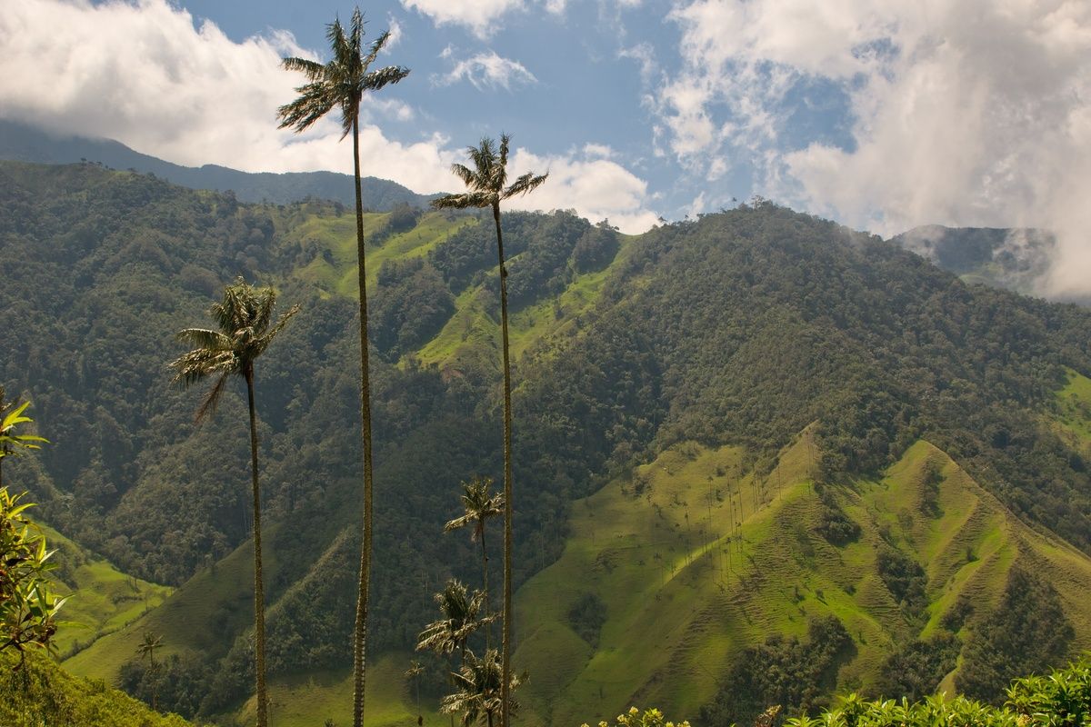 Colombia vallei