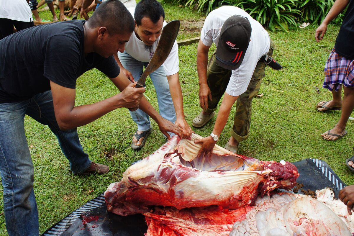 Moslims vieren Eid al-Adha