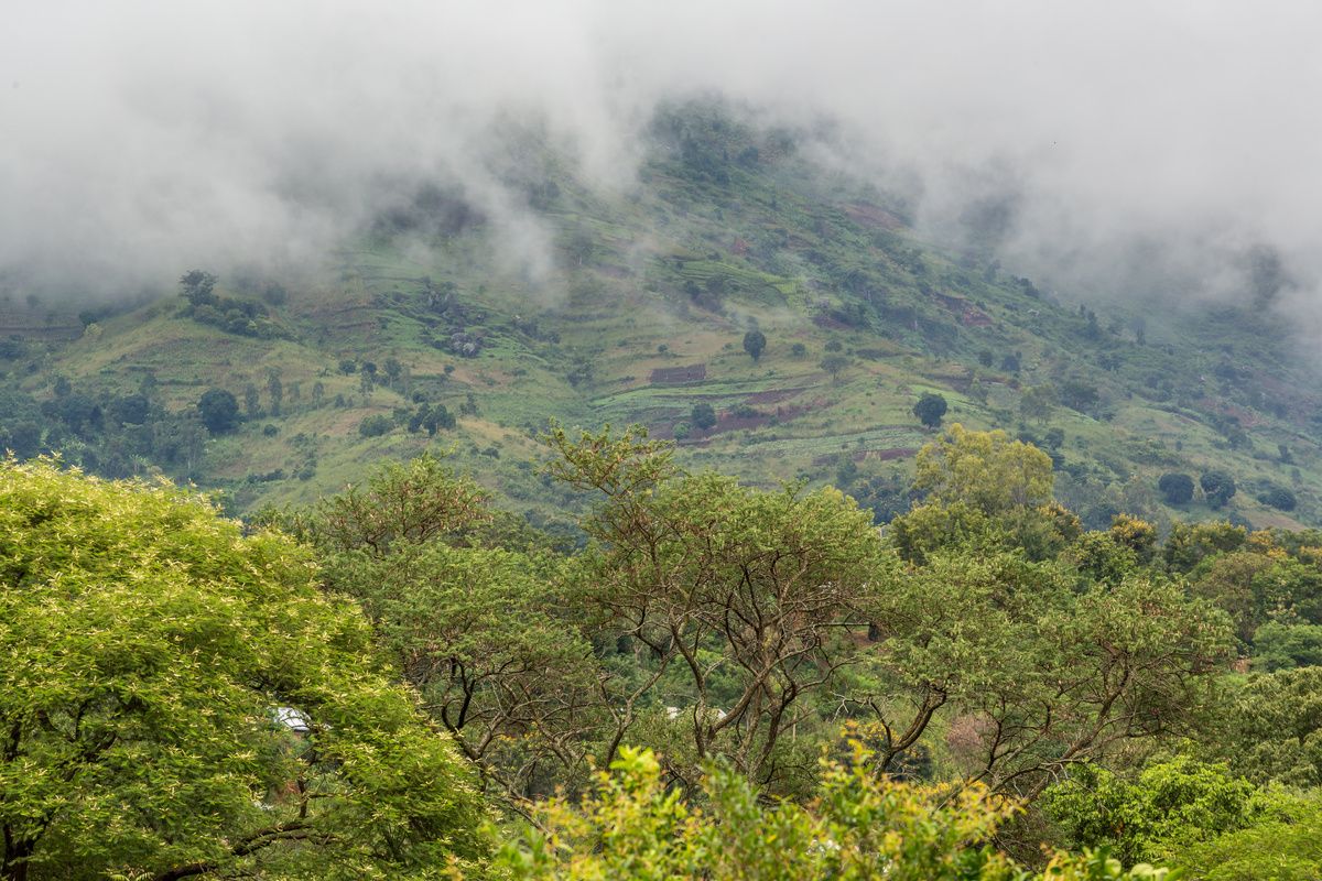 Ulugurugebergste, Morogoro
