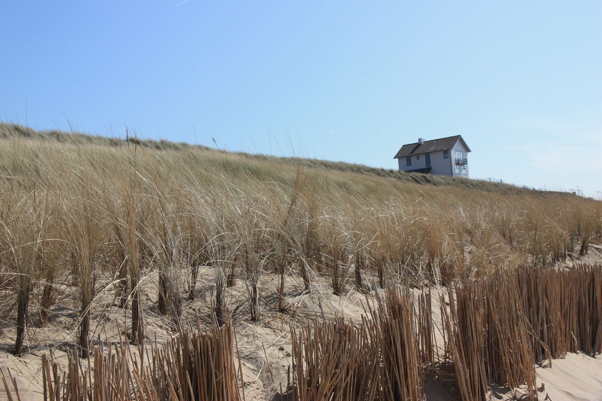 Foto van deze vakantie