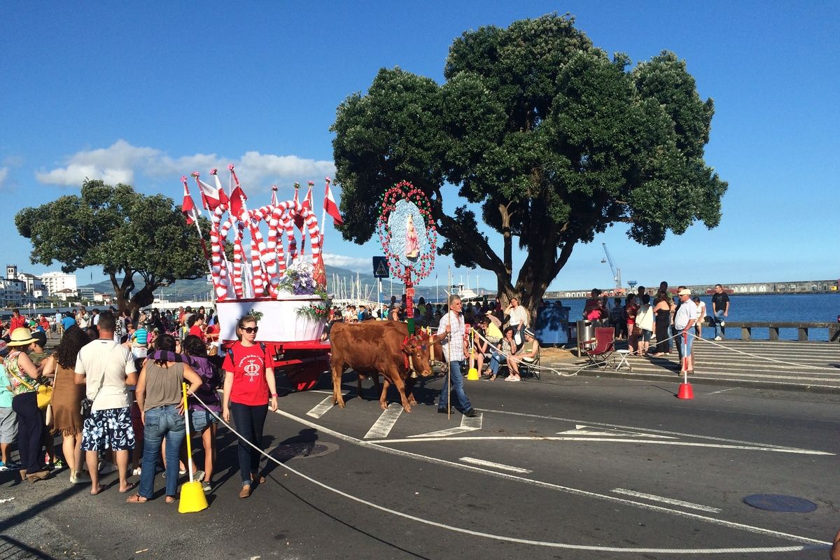 Festival in Ponta Delgada