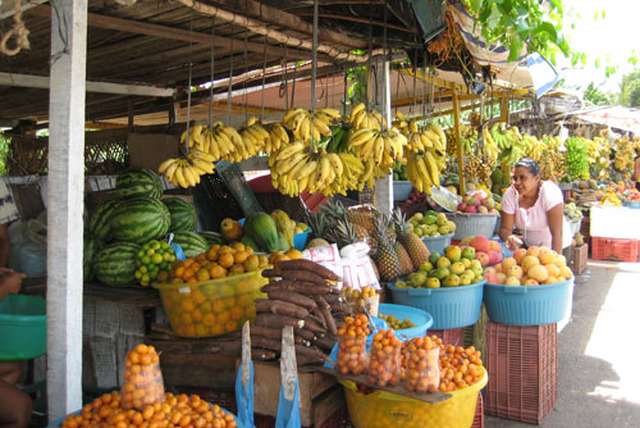 Braziliaans fruit