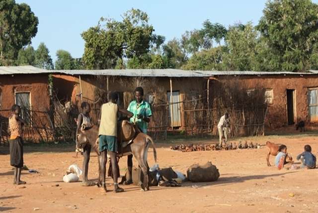 Vrijwilligerswerk doen in Ethiopië