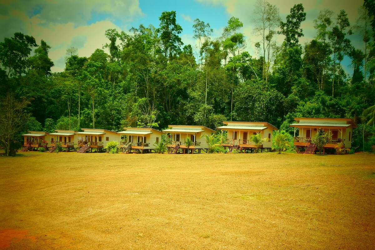 Lodges van Kabalebo