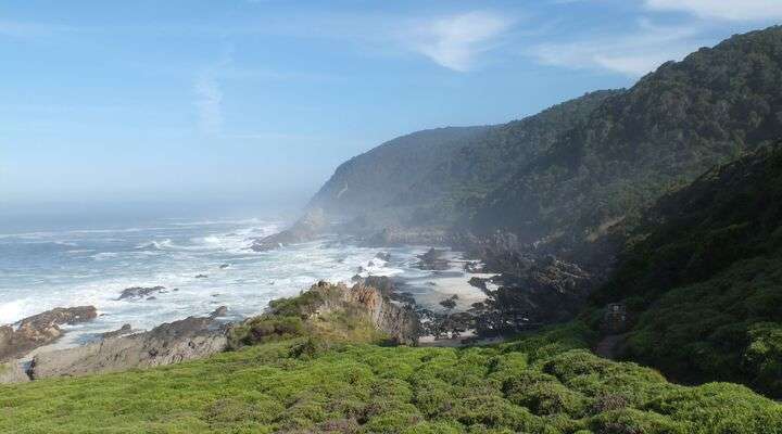 Tsitsikamma National Park in Zuid-Afrika