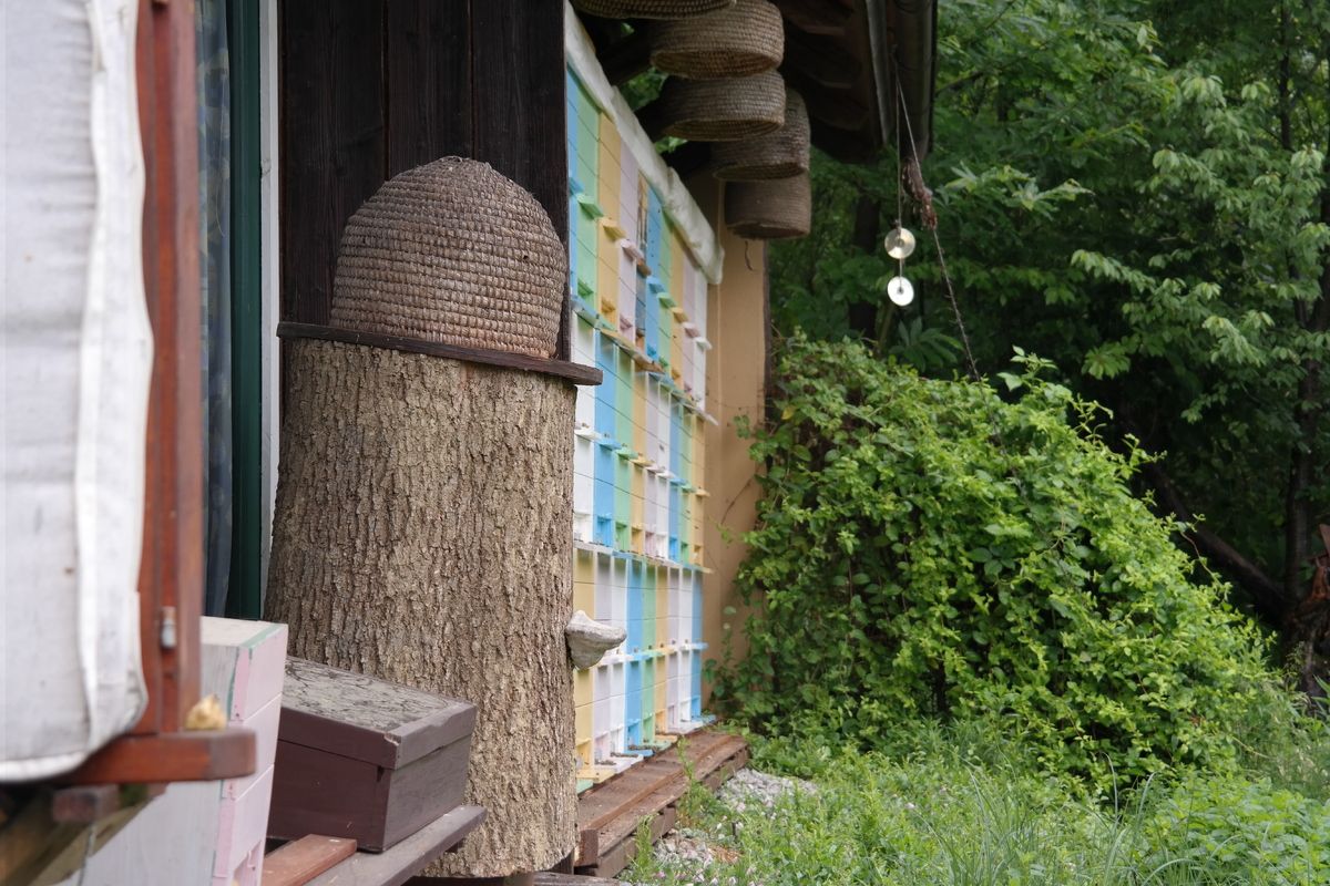 Bee's Castle