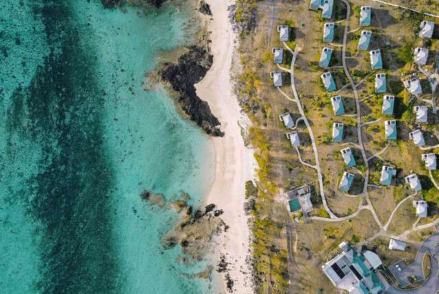 Constance Tekoma Rodrigues