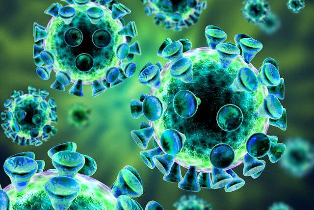 Risicolanden in verband met tropische virussen