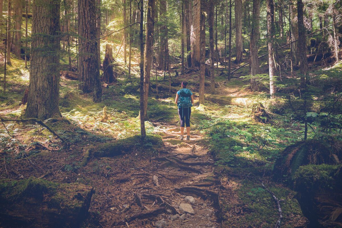 Strathcona Provincial Park
