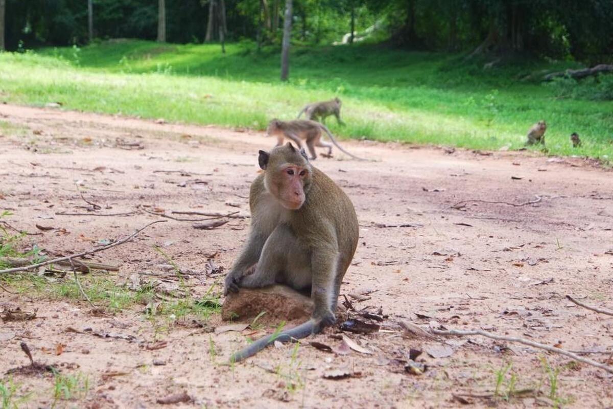 Foto van deze vakantie