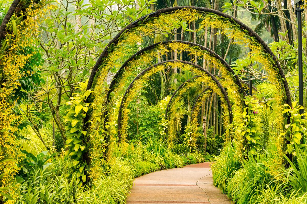 Een kleurrijke boog in de tuin
