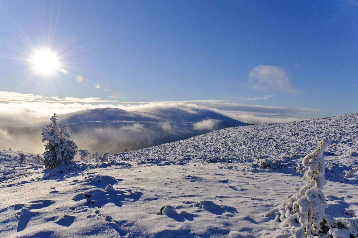 Winters landschap in Zweeds Lapland