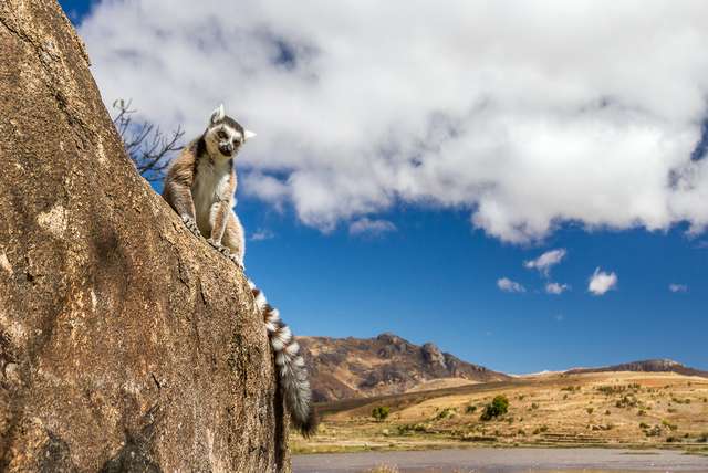 Onvergetelijke rondreis door Madagaskar