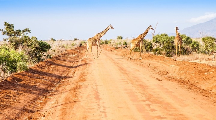 Safari in Tsavo